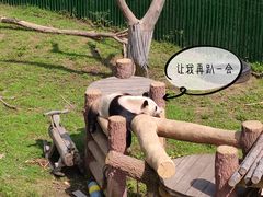 -沈阳森林动物园