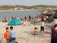 -九龙湖公园