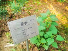 -广州神农草堂中医药博物馆