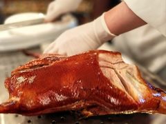-上海总会SHANGHAICLUB(兴业太古汇店)