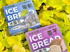 -卡滋贝诺动物奶油生日蛋糕(常熟万达店)