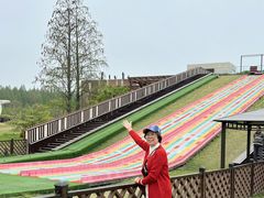 -黄海国家森林公园