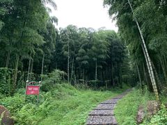 -天下银坑