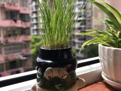 -GalaCity上海歌城(杨浦百联店)