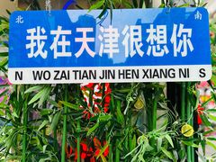 -古文化街旅游区