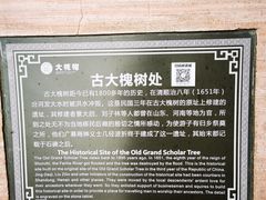 -大槐树寻根祭祖园