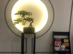 -席仁堂推拿按摩脊柱调理(世纪科贸大厦店)