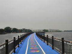 -鹅湖玫瑰文化园