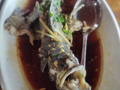 -蓝湾碧波·老字号·疍家非遗海上餐厅