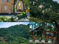 -沂蒙山旅游区云蒙景区(蒙山国家森林公园)
