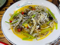 凉拌鱼皮-小杨烤肉(朱雀店)