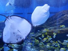 -海合安武汉极地海洋公园