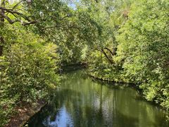 -奥兰多迪士尼动物王国乐园