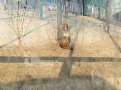 -北京鹿世界主题园