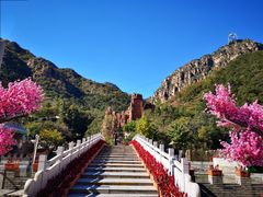 -京东石林峡风景区