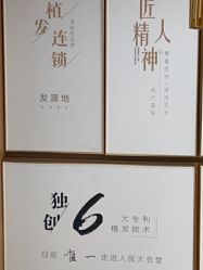 点击看大图 -熙朵美学植发连锁