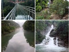 -九龙江国家森林公园