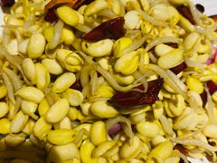 炝炒黄豆芽-燕青小馆(东园大厦店)