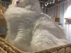 -小时光咖啡馆(开森度假森林店)