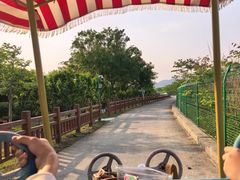 -中国扬子鳄村