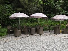 -厦门园林植物园-植物园滴水山房