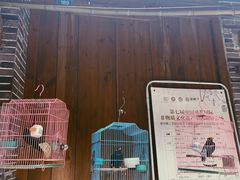 -海窝子古镇