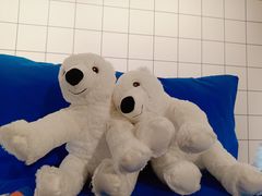 -宜家家居(高新商场店)