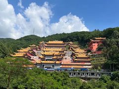 -东莞市大岭山森林公园