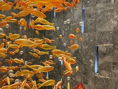 -金满楼(天河中路店)