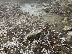 -萍乡武功山风景名胜区