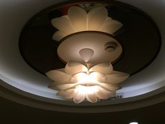 -永記粤菜·五指毛桃花雕鸡煲(九亭店)