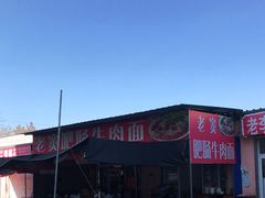 -老窦肥肠板面