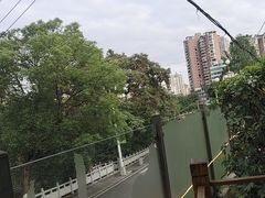 -树厨贵州菜(铜仁花果山店)