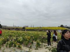 -三圣花乡旅游区