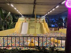 -南宫五洲植物乐园