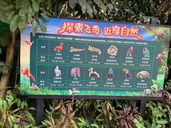 -广州长隆飞鸟乐园