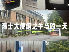 -三里屯东五街银杏大道