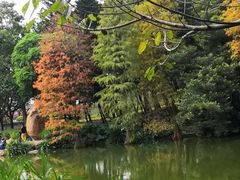 -云溪植物园