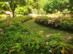 -上海共青森林公园