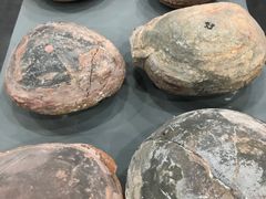 -游龙石文化科普馆