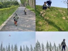 -前小桔亲子创意农场·草莓采摘·露营烧烤