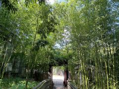 -老张烤羊(王哥庄店)