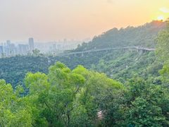 -景山公园