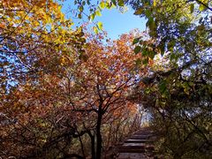 -元大都城垣遗址公园