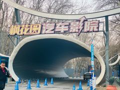 -枫花园汽车电影院(朝阳公园店)