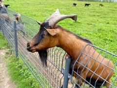 景点-南京银杏湖乐园