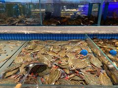 -一方渔歌蒸汽海鲜自助(文化路万达广场店)