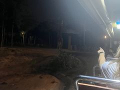 -清迈夜间动物园