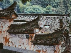 -杨家堂村