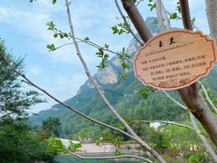 -太行锡崖沟旅游度假区
